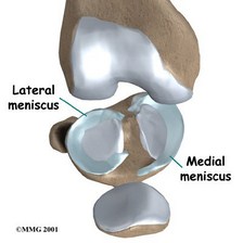 Meniscus--Dr. Nick Campos, West Hollywood Chiropractic